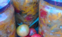Салат Вдоль по огороду на зиму, пошаговый рецепт с фото от автора Алевтина Семенова на 445 ккал
