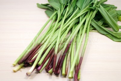 Зимний маринованный дикий чеснок